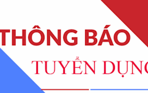LIÊN HIỆP CÁC TỔ CHỨC HỮU NGHỊ THÀNH PHỐ ĐÀ NĂNG TUYỂN DỤNG